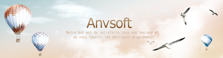 À propos de AnvSoft